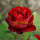 脱出ゲーム　99本のバラ