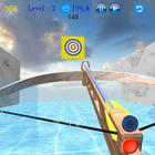 Crossbow Shooting Archery