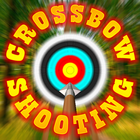Crossbow shooting simulator