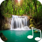 Nature Sounds Relax & Sleep