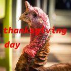thanksgiving day dinner