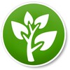 Medicinal Plants