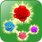 Rose Paradise