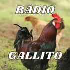 Radio Gallito jalisco mexico