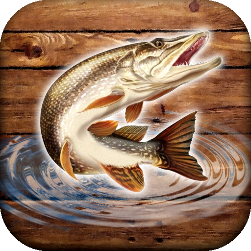 Fish rain