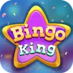 Bingo King: Live & Big Win