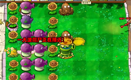 Detailed explanation of PVZ hybrid version of hero mode when the princess arrives