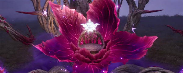 How to obtain the Infinite Warm Star Feather and share its location