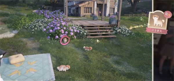 Infinite Warm Photo Investigation of the Three Woof Brothers Mission Strategy