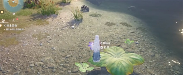 Infinite Warm Aromatherapy Water Lily Specific Location Sharing