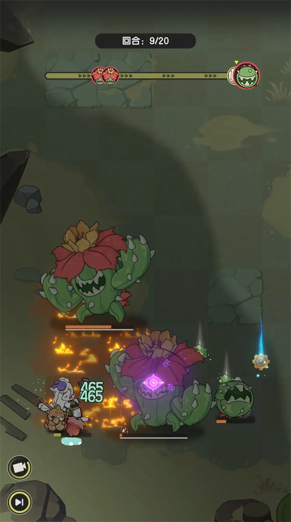 Share the method of passing the double cactus sage