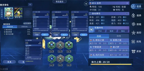 Sale's Pelothers Newbie's Playing Strategy Guide