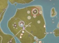 Unlimited Nuannuan photo shoot guide for taking a pegasus at night