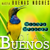 Spanish Morning Night Wishes