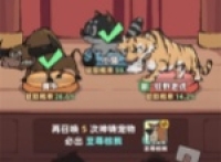 Almost experts must be tragic and share the method of creating pets