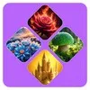 PicPuzzle: 4 Pictures 1 Word