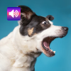 Dog Soundboard