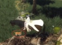 Sharing the Strategy for the Adventure of Cat in the Mobile Game of Neshuihan