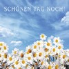 Schönen Tag Bilder