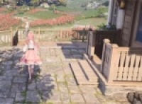 Infinite Nuannuan Misplaced Photography Caged Bird Mission Guide