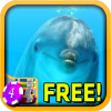 3D Dolphin Slots - Free