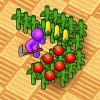 Farm Land