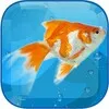 AquaLife 3D