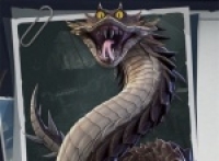 Share the strategy of playing the Dragon in the Supernatural Action Group