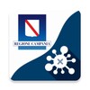 e-Covid SINFONIA