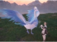 How to obtain the Infinitely Warm Star Feather and share its location